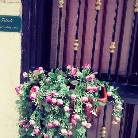 Filioli *